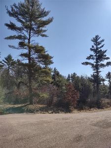 Lots 41, 42 & 43 South Red Pine Trail, Black River Falls, WI, 54615