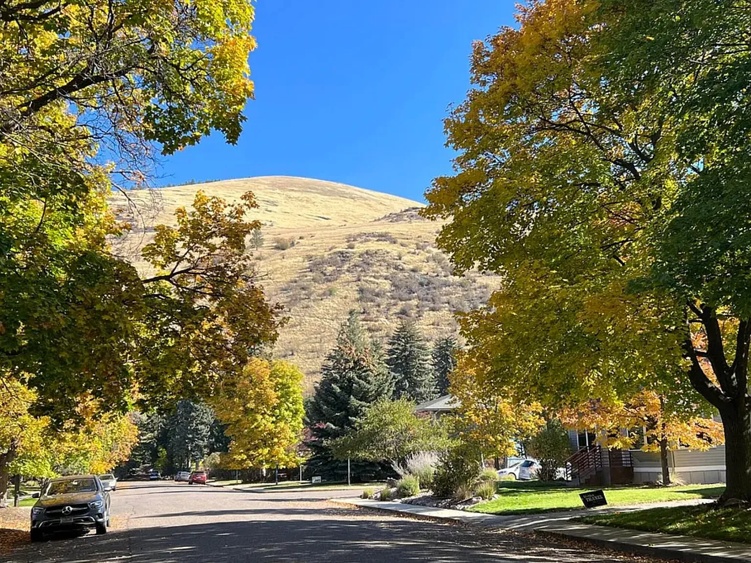 2 bed, 1100 sqft, $2,200 — Photo 4
