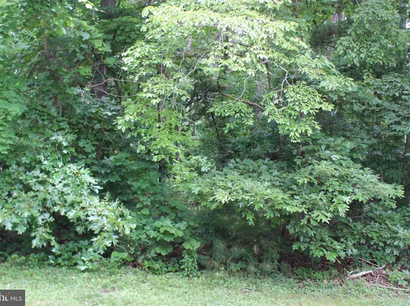 2028 Mayflower Dr, Greenbackville, VA 23356