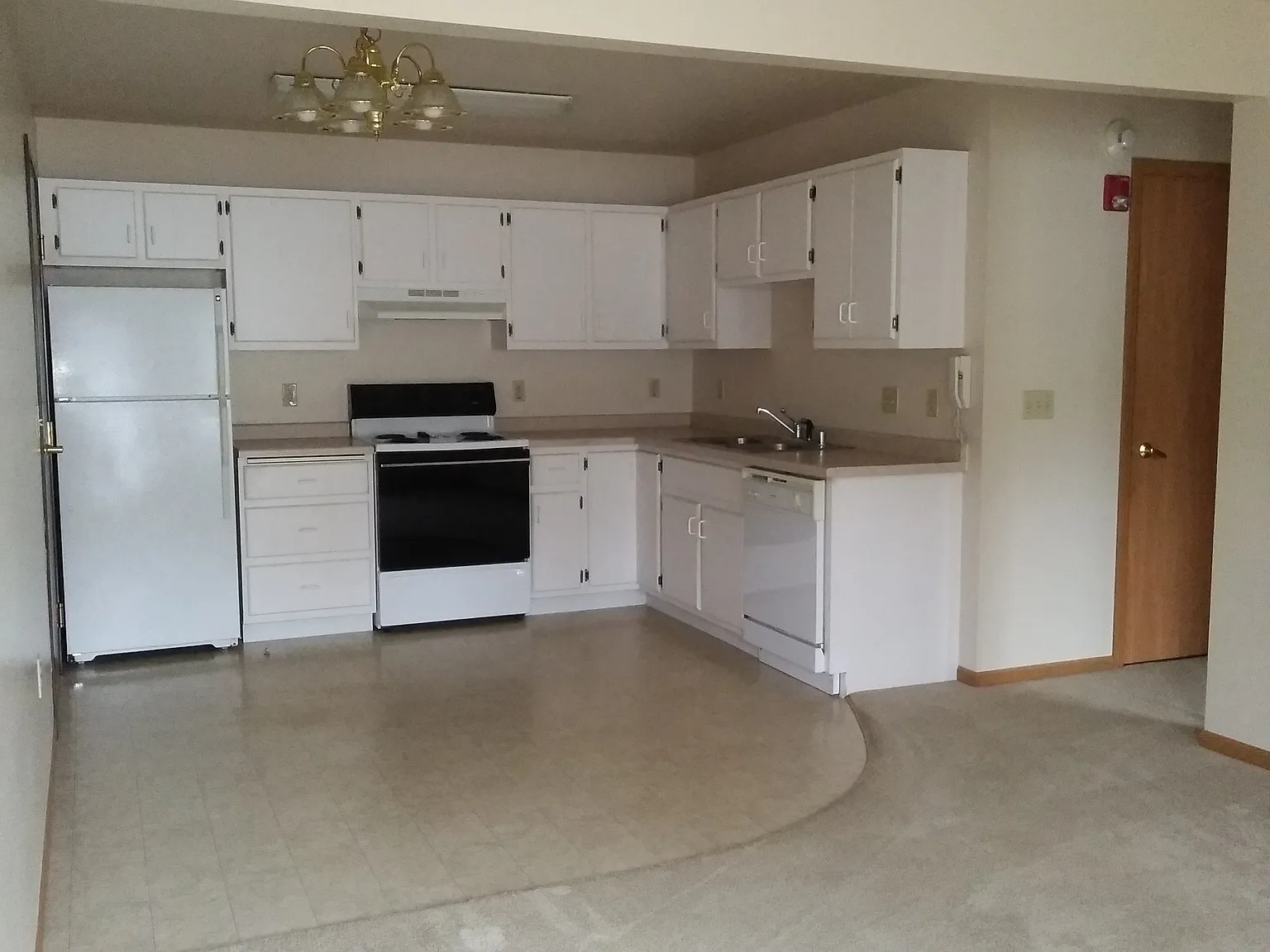 1 bed, $950 — Photo 3