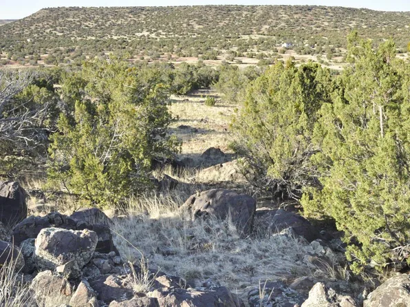 13 E Wagon Ln, Show Low, AZ 85901