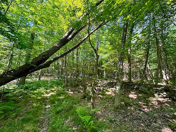 5th image of 00 Mountain Road
