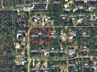 115 Carol Dr, Interlachen, FL 32148