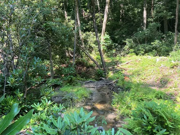 138 Buckberry Dr, Cashiers, NC 28774