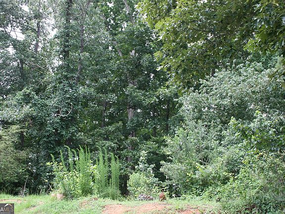 3rd image of 610 Dodson Lake Ct