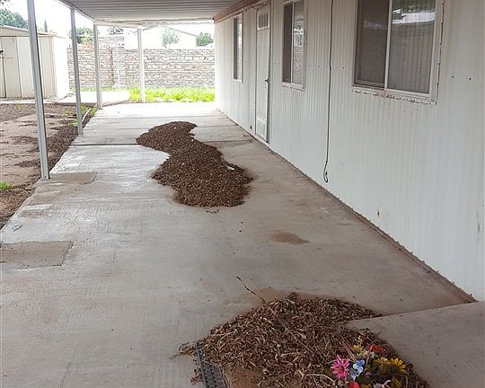 4th image of 10537 E Amber Dr