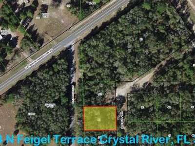 9784 N Feigel Ter, Crystal River, FL, 34428