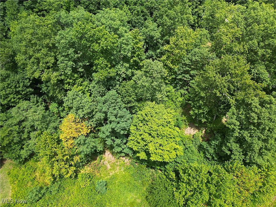 2nd image of 3 Moore Fork Rd