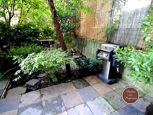 Rented by Harlem Properties | media 17