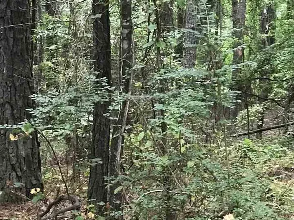 Lakeside Ln #20, Alpine, AL 35014