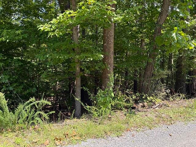 2nd image of 0 Fields Ave