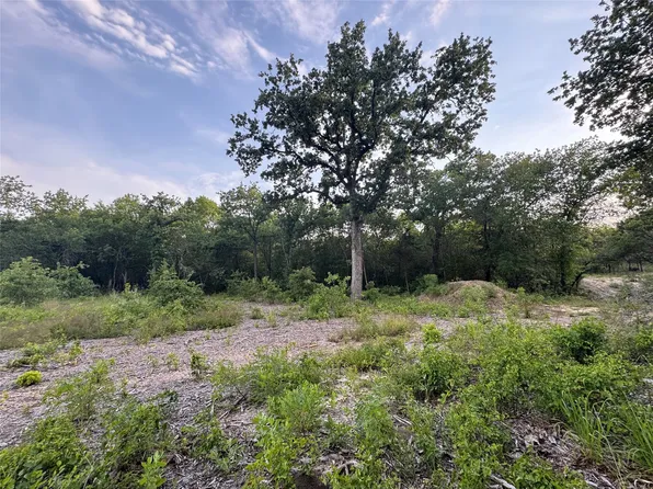 1051 Rose Ct, Nemo, TX 76070