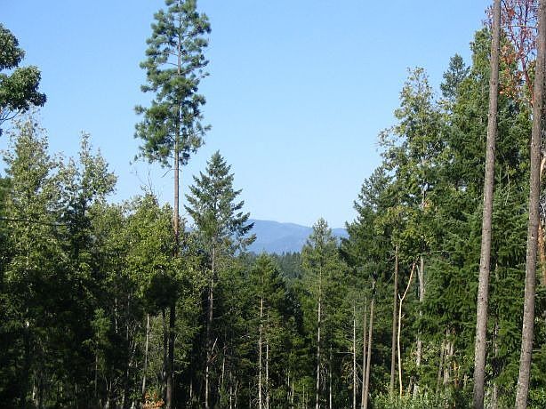 Mountain views from possible building site