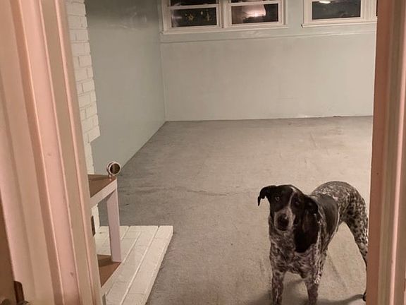 2nd image of (Undisclosed Address)