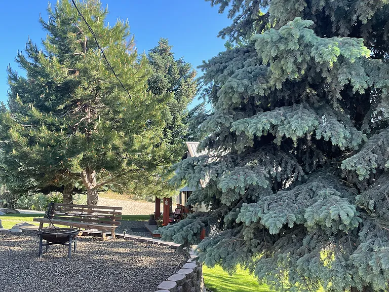 2080 Highway 21 — Photo 12
