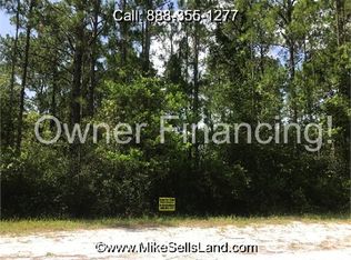 131 Carteret Rd, Georgetown, FL 32139