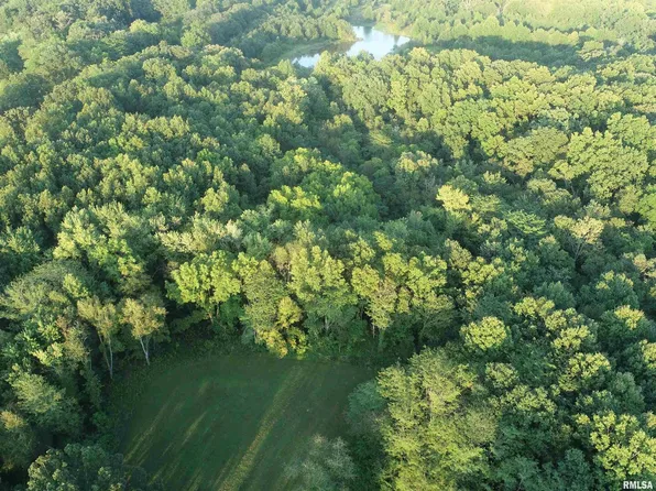 4026 Waggoner Rd, Iuka, IL 62849