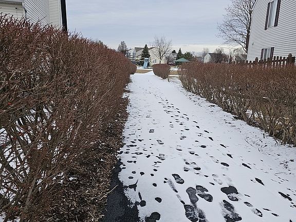 4th image of 1484 Woodland Dr