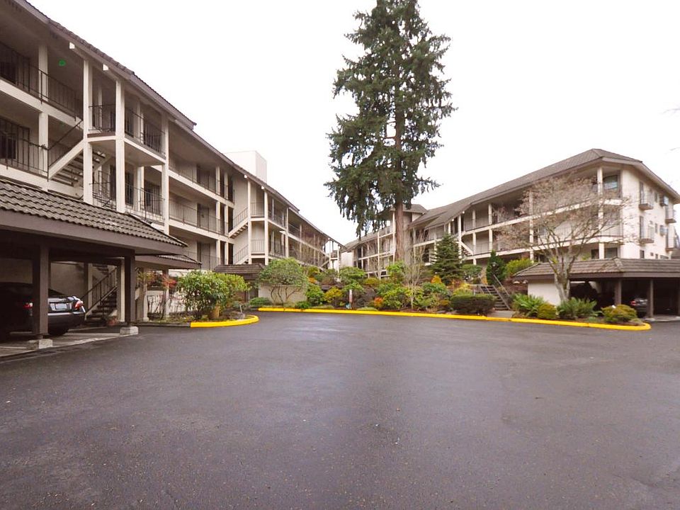 Common Lawn Area