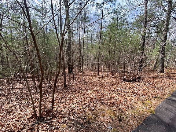 5th image of 9 Turtle Ridge Trl