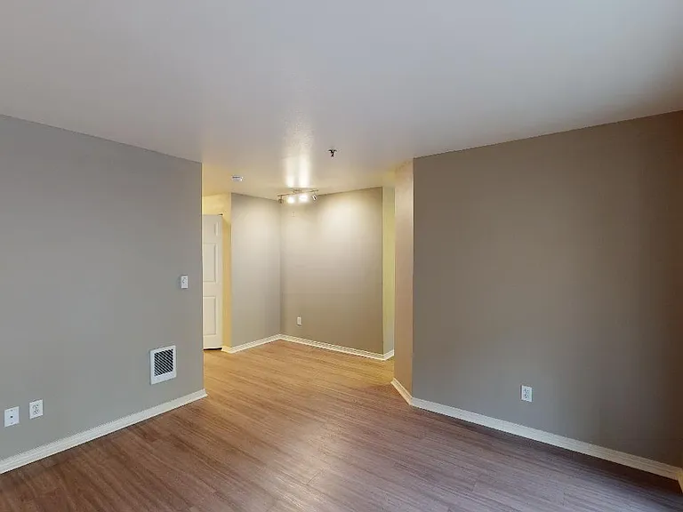 Apartment living room with wood-style flooring.