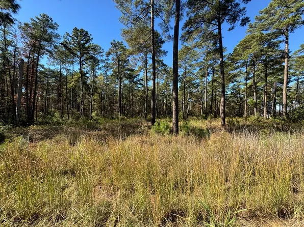 LOT 31 Private Road 6026, Brookeland, TX 75931