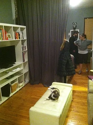 Rented by Urban Real Estate Inc | media 12