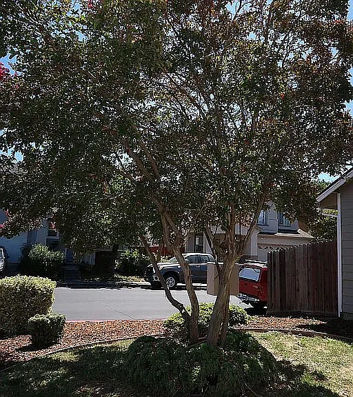 701 Deerfield Dr — Photo 5