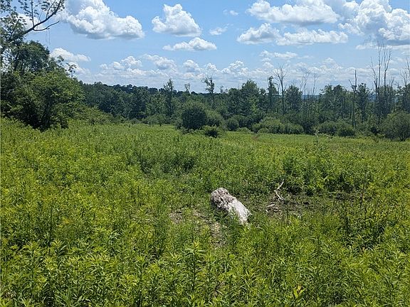 4th image of 0 Sulphur Springs Rd Lot 4