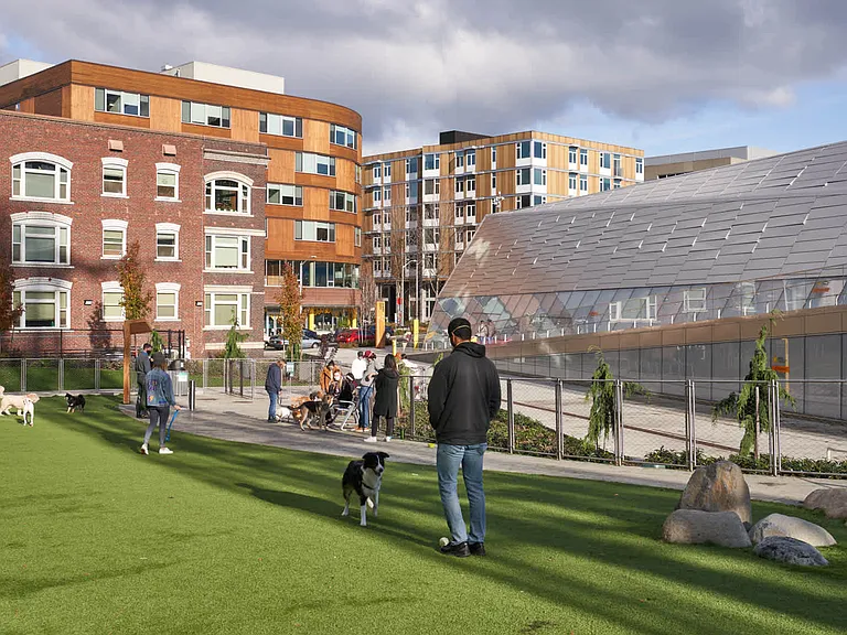 Visit Denny Substation Dog Park for a Howling Good Time