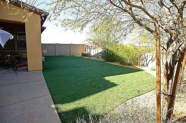 Back Yard 2