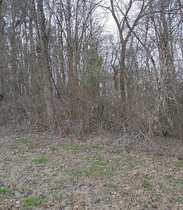 3rd image of 6708 Cahaba Ln