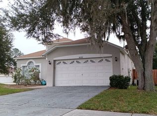 18202 Hollyhills Way, Tampa, FL 33647