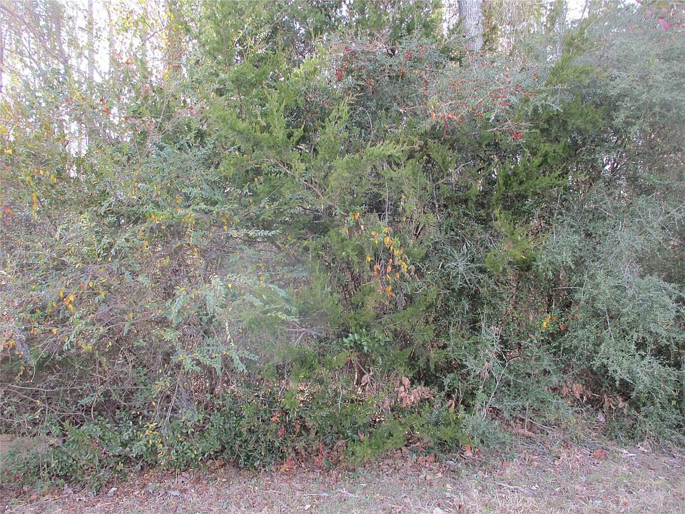 2nd image of Wood County Rd #2958