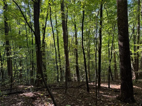 0 Mountain View Ct #J-349, Ellijay, GA 30536