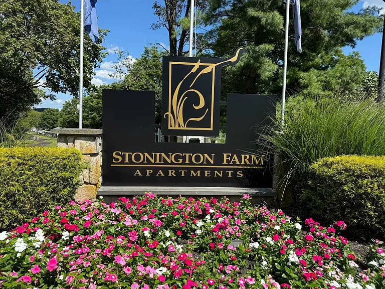 Stonington Farm — Photo 21
