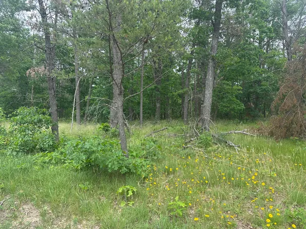 2250 S Stanberry, Baldwin, MI 49304