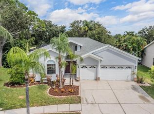 11209 Pocket Brook Dr, Tampa, FL 33635