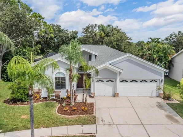 11209 Pocket Brook Dr, Tampa, FL 33635