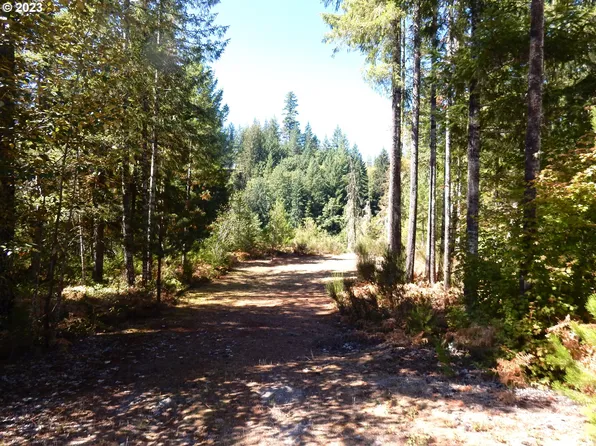 Lodgepole Ln, Cougar, WA 98616