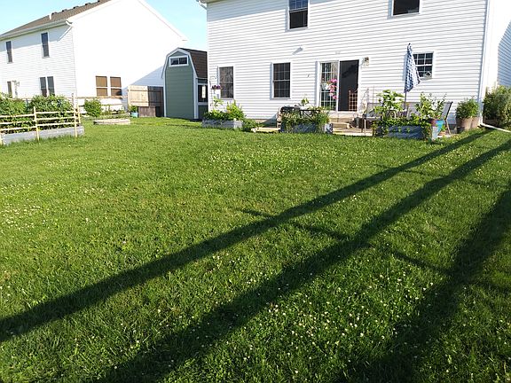 Large back yard