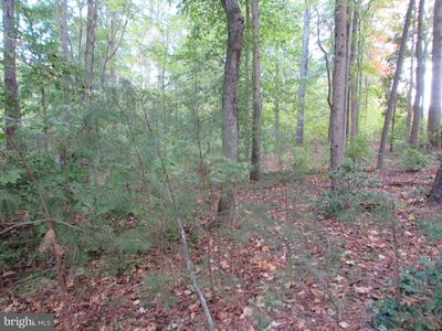 8410 Pushaw Station Rd, Owings, MD, 20736