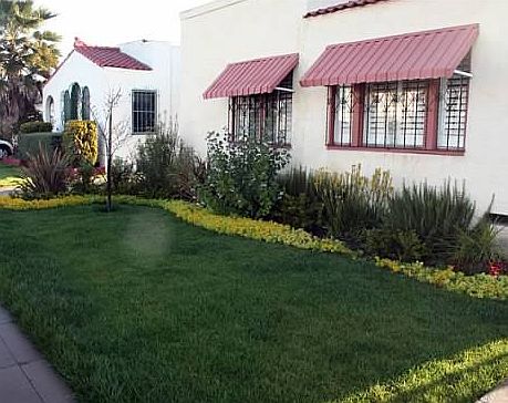 Front Yard
