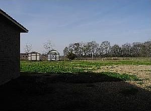 3rd image of 801 Belle Dr