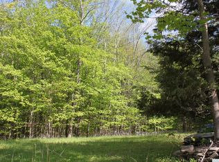 91 W Settlement Rd, Prattsville, NY 12468