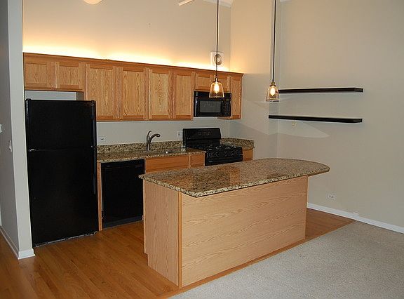 4th image of 633 S Plymouth Ct APT 309