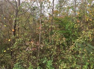 4076 Stephentown Rd, Blanch, NC 27212