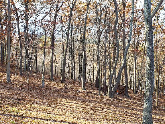 Part of property