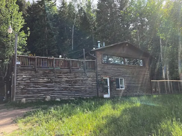 79 Beaver Creek Dr #1, Nederland, CO 80466