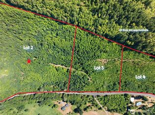 2 Skinner Road, Randle, WA 98377